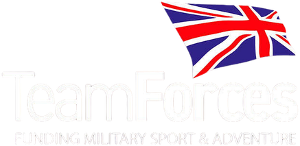 TeamForces logo